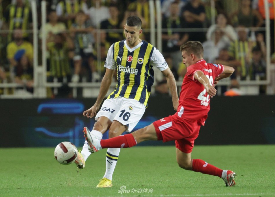 观赛体验 观赛体验